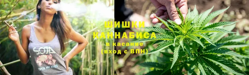 Бошки марихуана OG Kush  Курганинск 